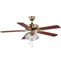 LIGHTING &amp; CEILING FANS